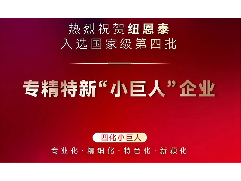 热烈祝贺冠军国际网入榜国家级专精特新“小巨人”企业名录